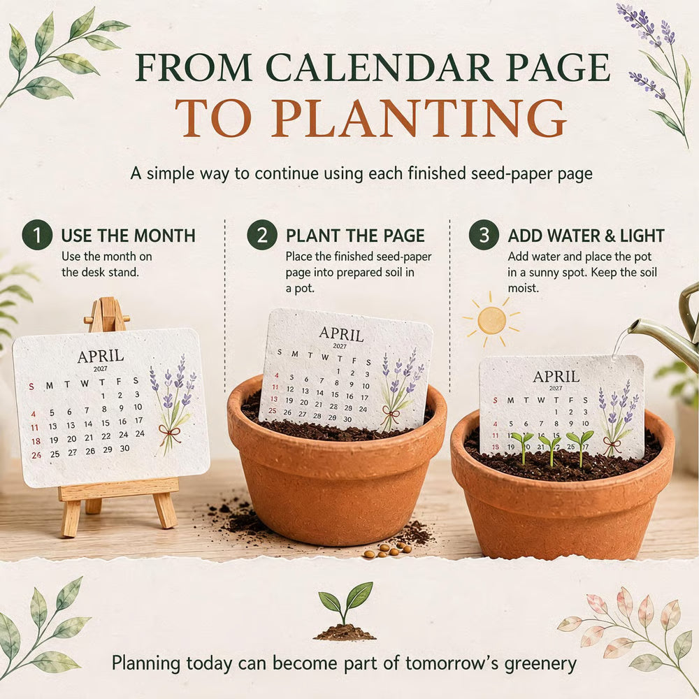 🌱Eco-Friendly Plantable "Timeless" Seed Calendar 2027 ✨ Plan•Plant•Grow•Enjoy